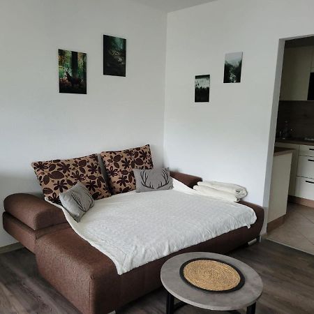 Ferienwohnung Hilde Бад-Петерсталь-Грисбах Экстерьер фото